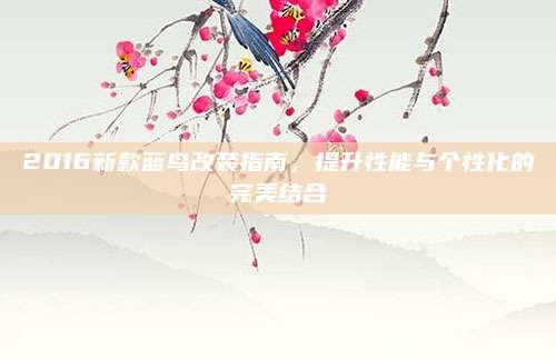 2016新款蓝鸟改装指南,提升性能与个性化的完美结合