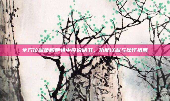 全方位解析帕萨特中控说明书,功能详解与操作指南