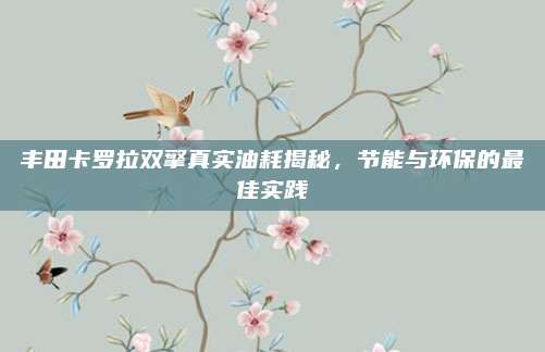 丰田卡罗拉双擎真实油耗揭秘，节能与环保的最佳实践