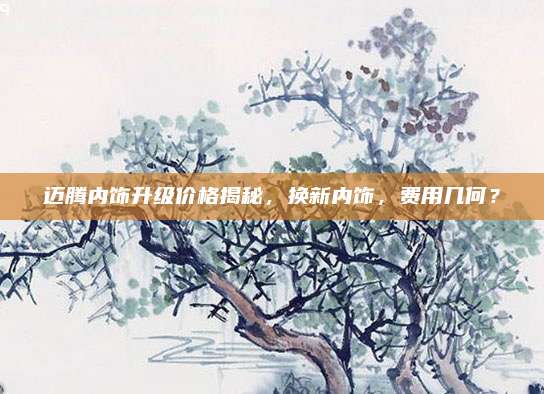 迈腾内饰升级价格揭秘，换新内饰，费用几何？