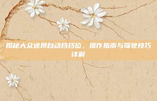 揭秘大众途昂自动挡挡位,操作指南与驾驶技巧详解