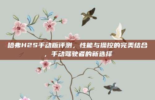 哈弗H2S手动版评测，性能与操控的完美结合，手动驾驶者的新选择