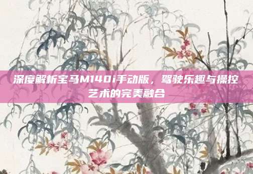 深度解析宝马M140i手动版，驾驶乐趣与操控艺术的完美融合