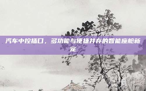 汽车中控插口，多功能与便捷并存的智能座舱新宠