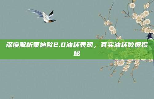 深度解析蒙迪欧2.0油耗表现，真实油耗数据揭秘