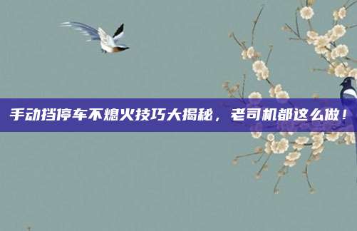 手动挡停车不熄火技巧大揭秘，老司机都这么做！
