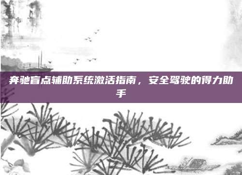 奔驰盲点辅助系统激活指南,安全驾驶的得力助手