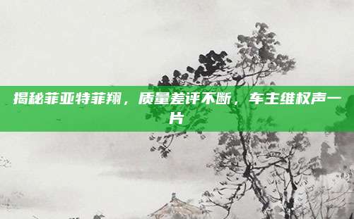 揭秘菲亚特菲翔,质量差评不断,车主维权声一片