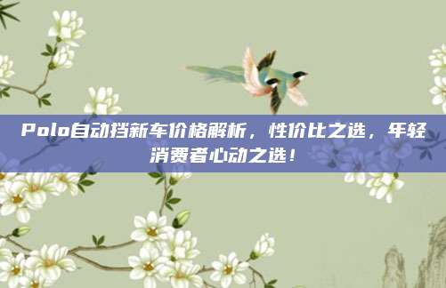 Polo自动挡新车价格解析,性价比之选,年轻消费者心动之选!