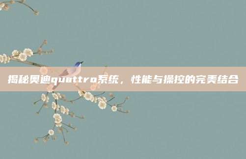 揭秘奥迪quattro系统,性能与操控的完美结合