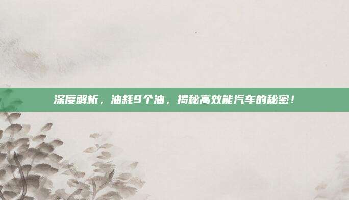 深度解析,油耗9个油,揭秘高效能汽车的秘密!