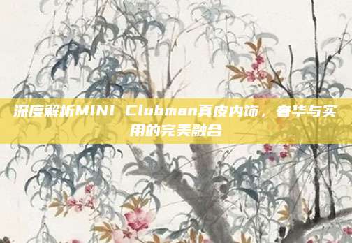 深度解析MINI Clubman真皮内饰，奢华与实用的完美融合