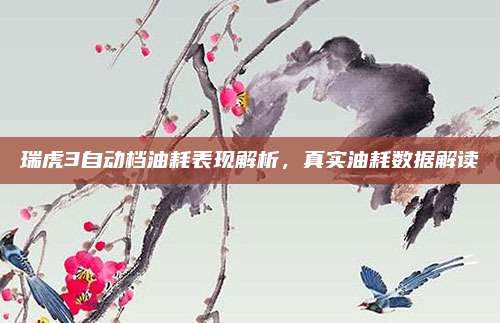 瑞虎3自动档油耗表现解析,真实油耗数据解读