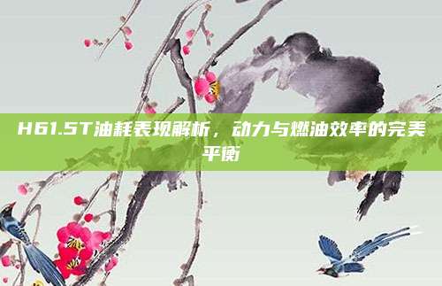 H61.5T油耗表现解析，动力与燃油效率的完美平衡
