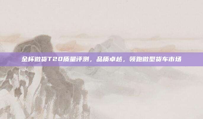 金杯微货T20质量评测,品质卓越,领跑微型货车市场
