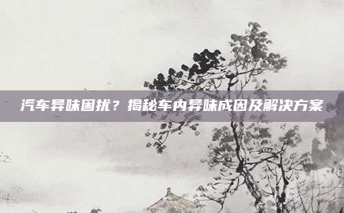 汽车异味困扰?揭秘车内异味成因及解决方案