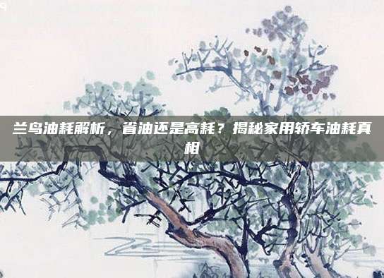 兰鸟油耗解析,省油还是高耗?揭秘家用轿车油耗真相