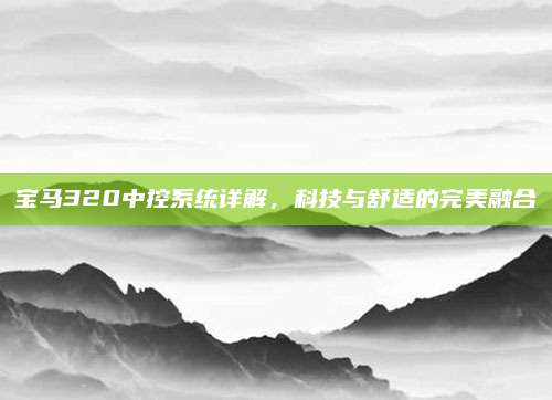 宝马320中控系统详解,科技与舒适的完美融合