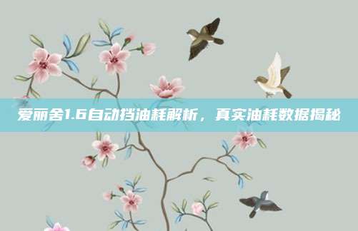 爱丽舍1.6自动挡油耗解析,真实油耗数据揭秘
