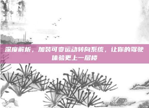 深度解析,加装可变运动转向系统,让你的驾驶体验更上一层楼