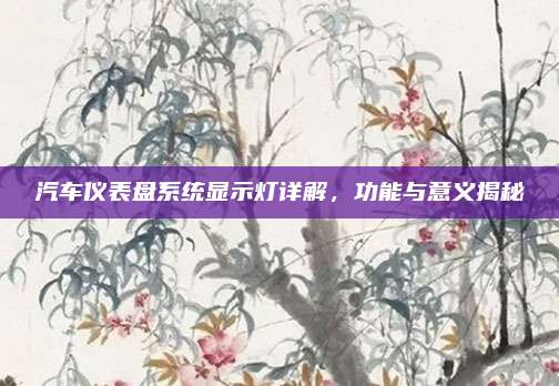 汽车仪表盘系统显示灯详解,功能与意义揭秘