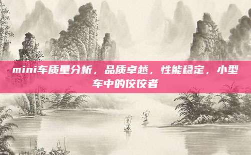 mini车质量分析,品质卓越,性能稳定,小型车中的佼佼者