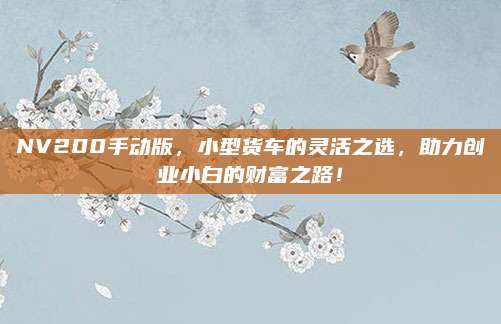 NV200手动版,小型货车的灵活之选,助力创业小白的财富之路!