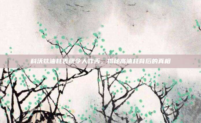 科沃兹油耗表现令人咋舌,揭秘高油耗背后的真相