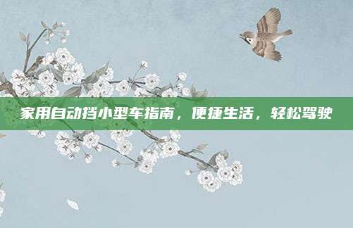 家用自动挡小型车指南,便捷生活,轻松驾驶