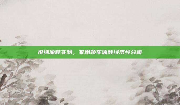 悦纳油耗实测,家用轿车油耗经济性分析