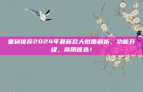 重磅推荐2024年最新款大微面解析，功能升级，商用首选！