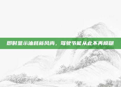 即时显示油耗新风尚,驾驶节能从此不再模糊