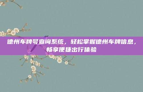 德州车牌号查询系统,轻松掌握德州车牌信息,畅享便捷出行体验