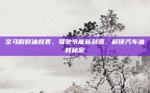 宝马瞬时油耗表,驾驶节能新利器,解锁汽车油耗秘密