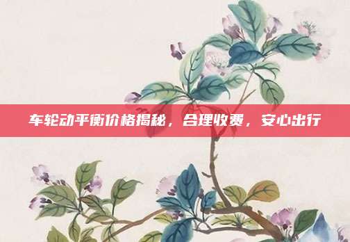 车轮动平衡价格揭秘,合理收费,安心出行
