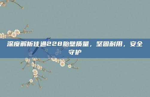 深度解析佳通228胎壁质量,坚固耐用,安全守护