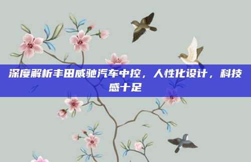 深度解析丰田威驰汽车中控,人性化设计,科技感十足
