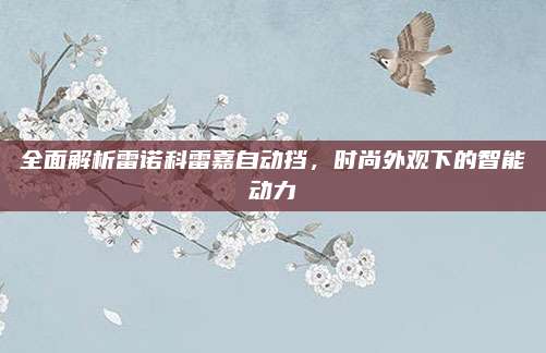 全面解析雷诺科雷嘉自动挡,时尚外观下的智能动力