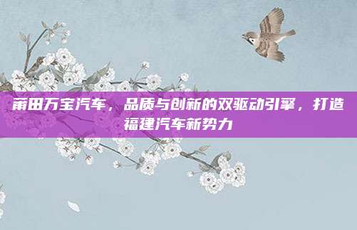 莆田万宝汽车,品质与创新的双驱动引擎,打造福建汽车新势力