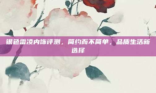 银色雷凌内饰评测，简约而不简单，品质生活新选择