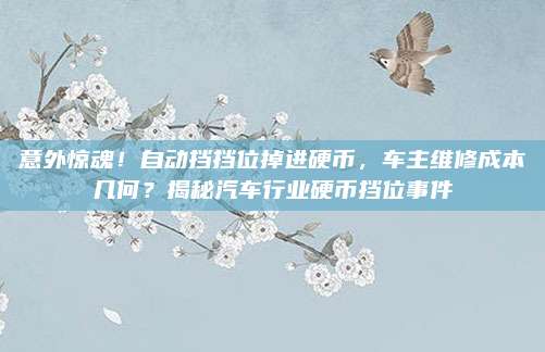 意外惊魂!自动挡挡位掉进硬币,车主维修成本几何?揭秘汽车行业硬币挡位事件