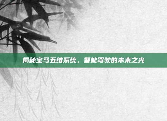 揭秘宝马五维系统，智能驾驶的未来之光