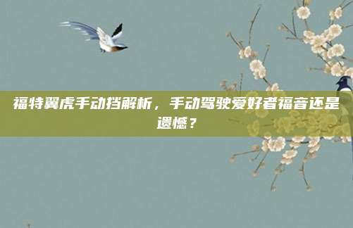 福特翼虎手动挡解析,手动驾驶爱好者福音还是遗憾?