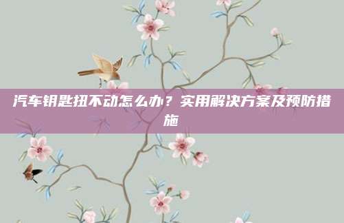 汽车钥匙扭不动怎么办?实用解决方案及预防措施