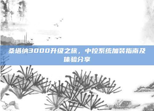 桑塔纳3000升级之旅,中控系统加装指南及体验分享
