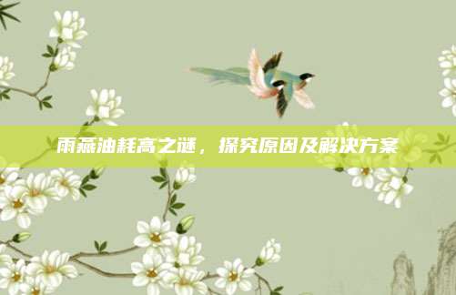 雨燕油耗高之谜,探究原因及解决方案