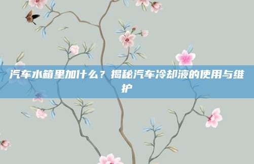 汽车水箱里加什么?揭秘汽车冷却液的使用与维护