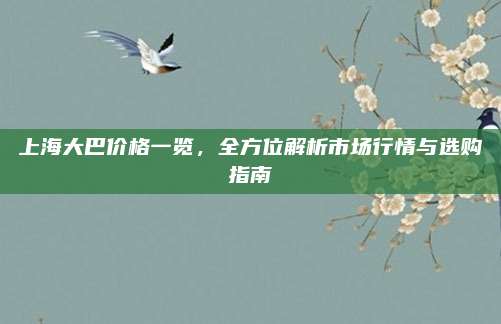 上海大巴价格一览,全方位解析市场行情与选购指南