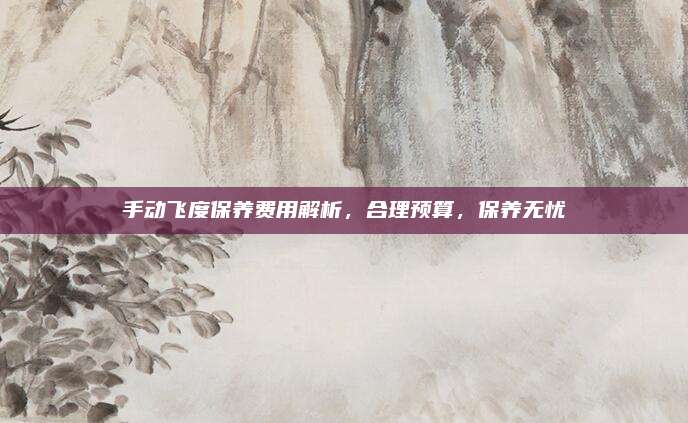 手动飞度保养费用解析,合理预算,保养无忧