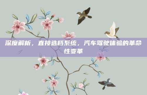 深度解析,直接选档系统,汽车驾驶体验的革命性变革